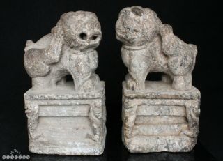 Antique 16th / 17th Century Ming Dynasty Schist Stone Foo / Fu Dogs