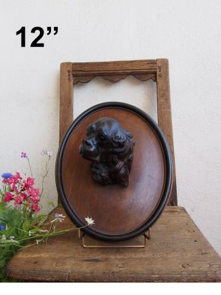 Black Forest Dog King Charles Spaniel Mahogany 12  Wood Carved