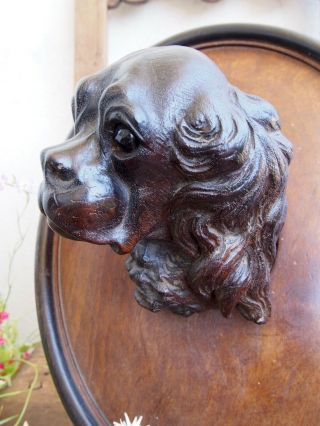 Black forest Dog King Charles Spaniel Mahogany 12  Wood Carved 2