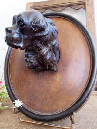 Black forest Dog King Charles Spaniel Mahogany 12  Wood Carved 3