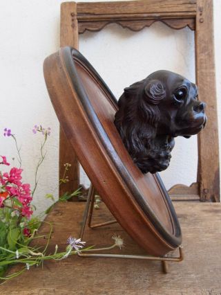 Black forest Dog King Charles Spaniel Mahogany 12  Wood Carved 5