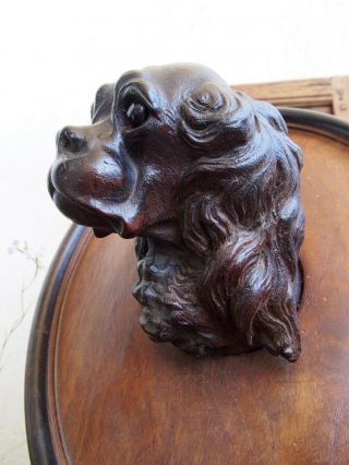 Black forest Dog King Charles Spaniel Mahogany 12  Wood Carved 8