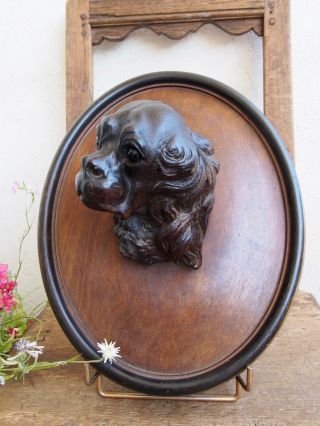 Black forest Dog King Charles Spaniel Mahogany 12  Wood Carved 9