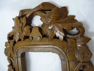 Antique French Hand Carved Oak Wood Panel/Frame - Black Forest Mirror 7