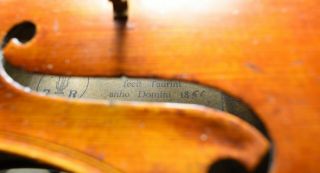 A Stunning Fine old Violin Labeled Joseph Antonius Rocca 1856 10