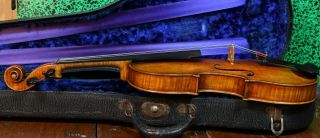 A Stunning Fine old Violin Labeled Joseph Antonius Rocca 1856 6