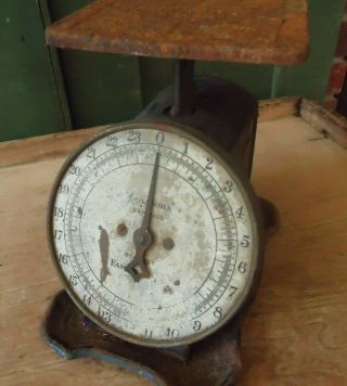 Antique General Store Columbia Family Kitchen Scale Advertising Hardware Co