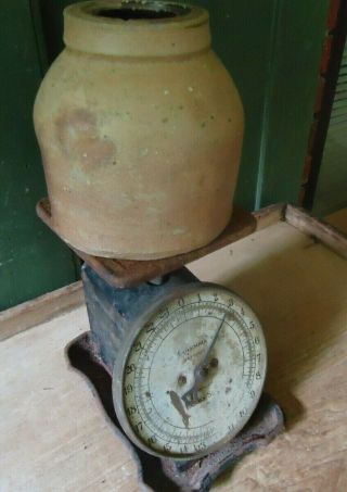Antique General Store Columbia Family Kitchen Scale Advertising Hardware Co 2