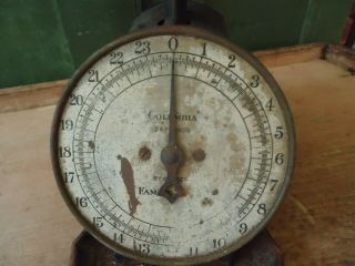 Antique General Store Columbia Family Kitchen Scale Advertising Hardware Co 3
