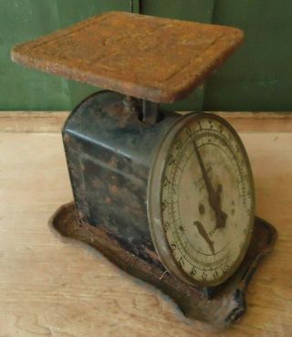 Antique General Store Columbia Family Kitchen Scale Advertising Hardware Co 6