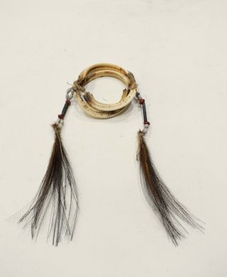 Papua Guinea Asmat Boars Tusks Cassawory Feather Beaded Bracelet