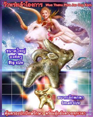Wua Thanu Amulet Phra Arjarn O Thai Amulet Protection All Danger Bad Magic Ghost 10