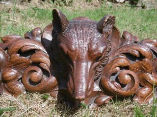MAGNIFICENT 19thc BLACK FOREST OAK CARVED PEDIMENT WITH FOX HEAD TO CENTRE 10