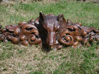 MAGNIFICENT 19thc BLACK FOREST OAK CARVED PEDIMENT WITH FOX HEAD TO CENTRE 11