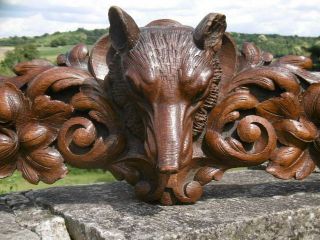 Magnificent 19thc Black Forest Oak Carved Pediment With Fox Head To Centre