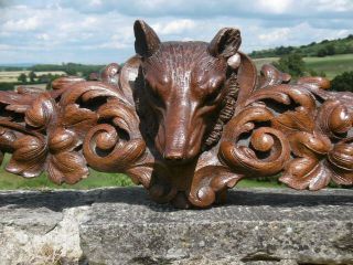 MAGNIFICENT 19thc BLACK FOREST OAK CARVED PEDIMENT WITH FOX HEAD TO CENTRE 2