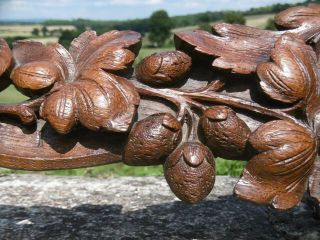 MAGNIFICENT 19thc BLACK FOREST OAK CARVED PEDIMENT WITH FOX HEAD TO CENTRE 5