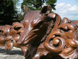 MAGNIFICENT 19thc BLACK FOREST OAK CARVED PEDIMENT WITH FOX HEAD TO CENTRE 6
