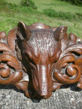 MAGNIFICENT 19thc BLACK FOREST OAK CARVED PEDIMENT WITH FOX HEAD TO CENTRE 7