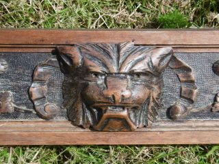 19thc LONG GOTHIC OAK PANEL WITH LION HEAD CARVED CENTRALLY 10