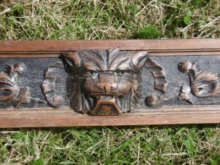 19thc LONG GOTHIC OAK PANEL WITH LION HEAD CARVED CENTRALLY 12