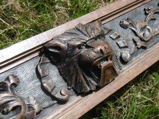19thc Long Gothic Oak Panel With Lion Head Carved Centrally