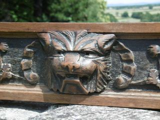 19thc LONG GOTHIC OAK PANEL WITH LION HEAD CARVED CENTRALLY 6