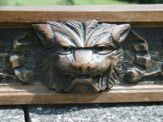 19thc LONG GOTHIC OAK PANEL WITH LION HEAD CARVED CENTRALLY 7