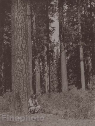 C.  1900/72 Photogravure Native American Indian Klamath Forest Edward Curtis 11x14