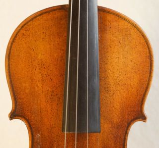 old violin viola Nicolaus Bergonzi Geige Bratsche fiddle 5