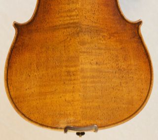 old violin viola Nicolaus Bergonzi Geige Bratsche fiddle 6