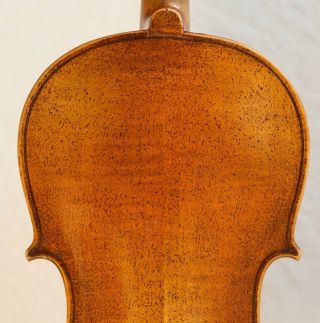 old violin viola Nicolaus Bergonzi Geige Bratsche fiddle 7