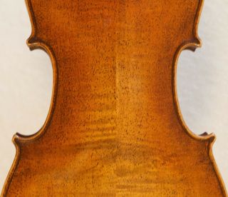 old violin viola Nicolaus Bergonzi Geige Bratsche fiddle 8