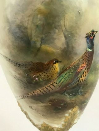 Vase.  Royal Worcester Signed by James Stinton.  Game Birds Pheasants.  1911 6