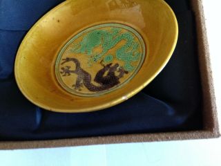19th Century Chinese San Cai (Three Color) Dish in Fitted Box 2