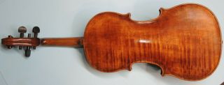 Very Rare Antique VIOLIN - European - one piece back - exotic wood 11