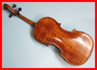 Very Rare Antique Violin - European - One Piece Back - Exotic Wood