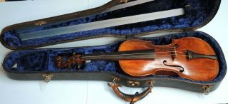 Very Rare Antique VIOLIN - European - one piece back - exotic wood 2