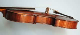 Very Rare Antique VIOLIN - European - one piece back - exotic wood 3