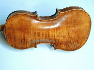 Very Rare Antique VIOLIN - European - one piece back - exotic wood 6