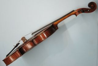 Very Rare Antique VIOLIN - European - one piece back - exotic wood 8