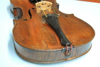 Very Rare Antique VIOLIN - European - one piece back - exotic wood 9