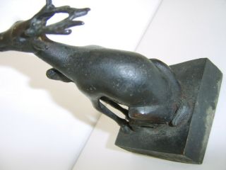 VERY RARE LARGE OLD CHINESE ANTIQUE SOLID BRONZE SEAL DEER mythical creature ? 9