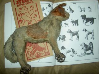 Very Early C1905,  Steiff Button - In - Ear,  Mohair Dog On Cast Iron Wheels,  Pull Toy