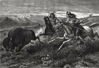 Buffalo Bison Hunt,  Indian Vs.  Buckskin Cowboy Hunter,  Large 1880s Antique Print