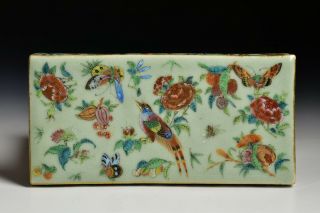 Antique Chinese Porcelain Famille Rose Brush Box with Celadon Glaze Body 2