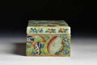 Antique Chinese Porcelain Famille Rose Brush Box with Celadon Glaze Body 4