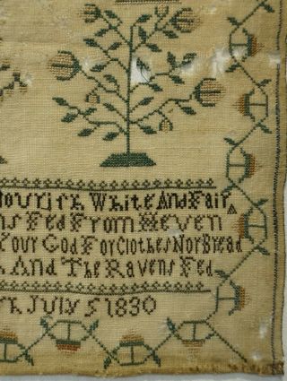 EARLY 19TH CENTURY VERSE & MOTIF SAMPLER BY SUSAN DISS - July 5th 1830 7