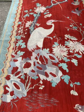 Unbelievable Antique Chinese Silk Panel With Birds Qing Textile Embroidery 3