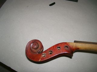 Violin 4/4 J T L Medio Fino for restoration 5